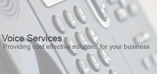 Voice Services, Telephone Systems